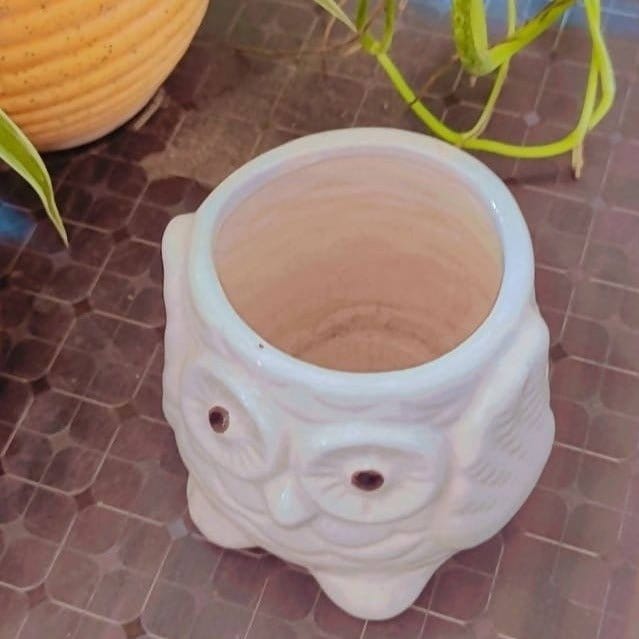 Maa shakumbhari Devi nursery Owl shape pot Ceramic pot Buy Ceramic pot