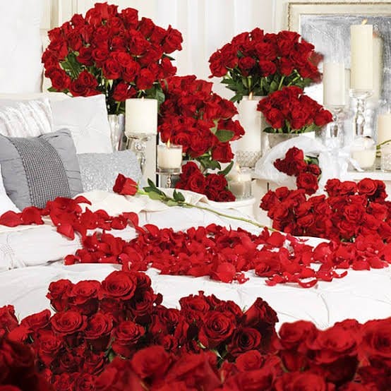 MD Krishi Kranti Kendra Rose Special Rose Special