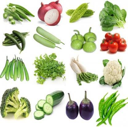 MD Krishi Kranti Kendra Small pack 10 vegetables pkt Vegetables seeds 10 pkt