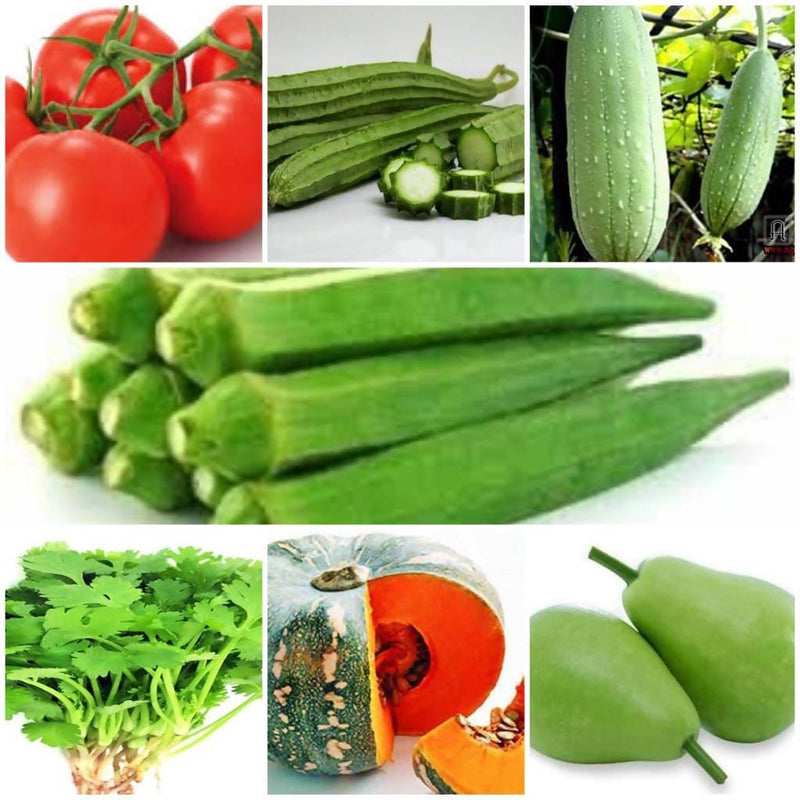 mor salim gazi seed vegetable seeds combo pack