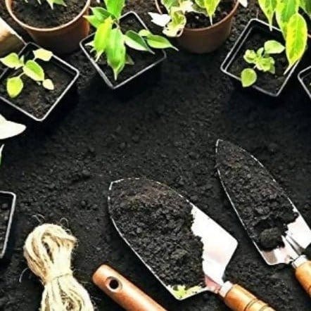 Gardening-Cow-Manure-Earthworm-Vermicompost -(1Kg)-Urban-plants