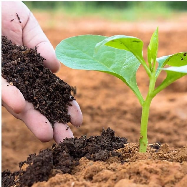 Gardening-Cow-Manure-Earthworm-Vermicompost -(1Kg)-Urban-plants