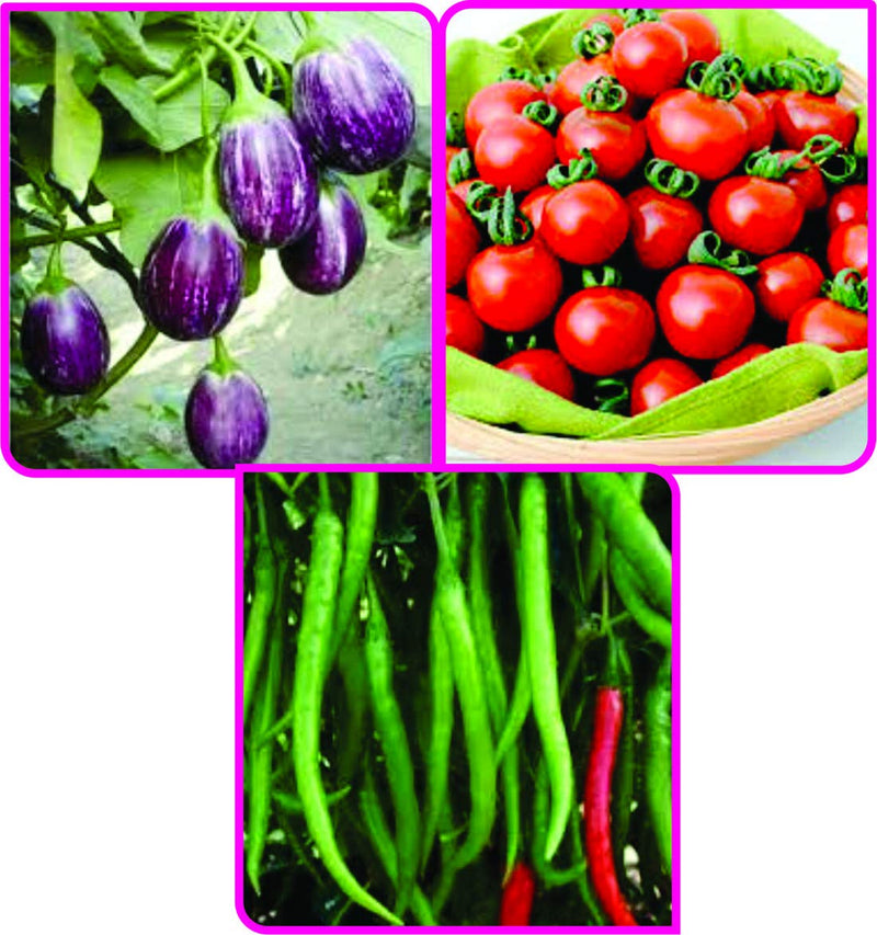 Nidhi Van Seasonal seeds of flowers and vegetables Seasonal flowers and vegetables seeds combo