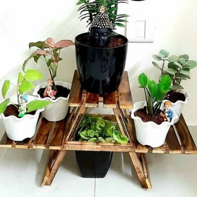 Nisha Plant stand Wooden plant stand