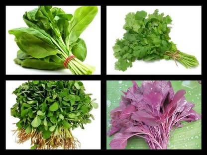 Plant House seed Winter Vegetable seeds combo