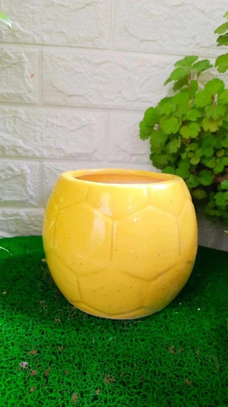 Plants and Lifestyle Ceramic Pot Football Shaped Ceramic Pot Buy Round Shaped Ceramic Pot Online 