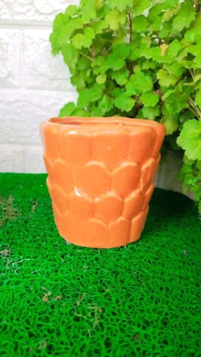 Plants and Lifestyle Pot Brown Scaled Ceramic Pot Buy Brown Scaled Ceramic Pot Online from Urban plants 