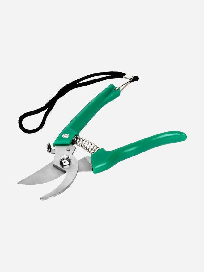Plants and more Cutter Garden shears pruner scissor Buy Garden Shear Pruner Scissor in Delhi 