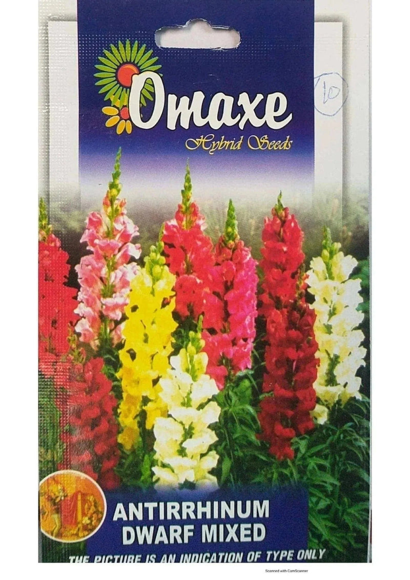 Prayas Nursery Seeds Antirrhinum Dwarf Mix