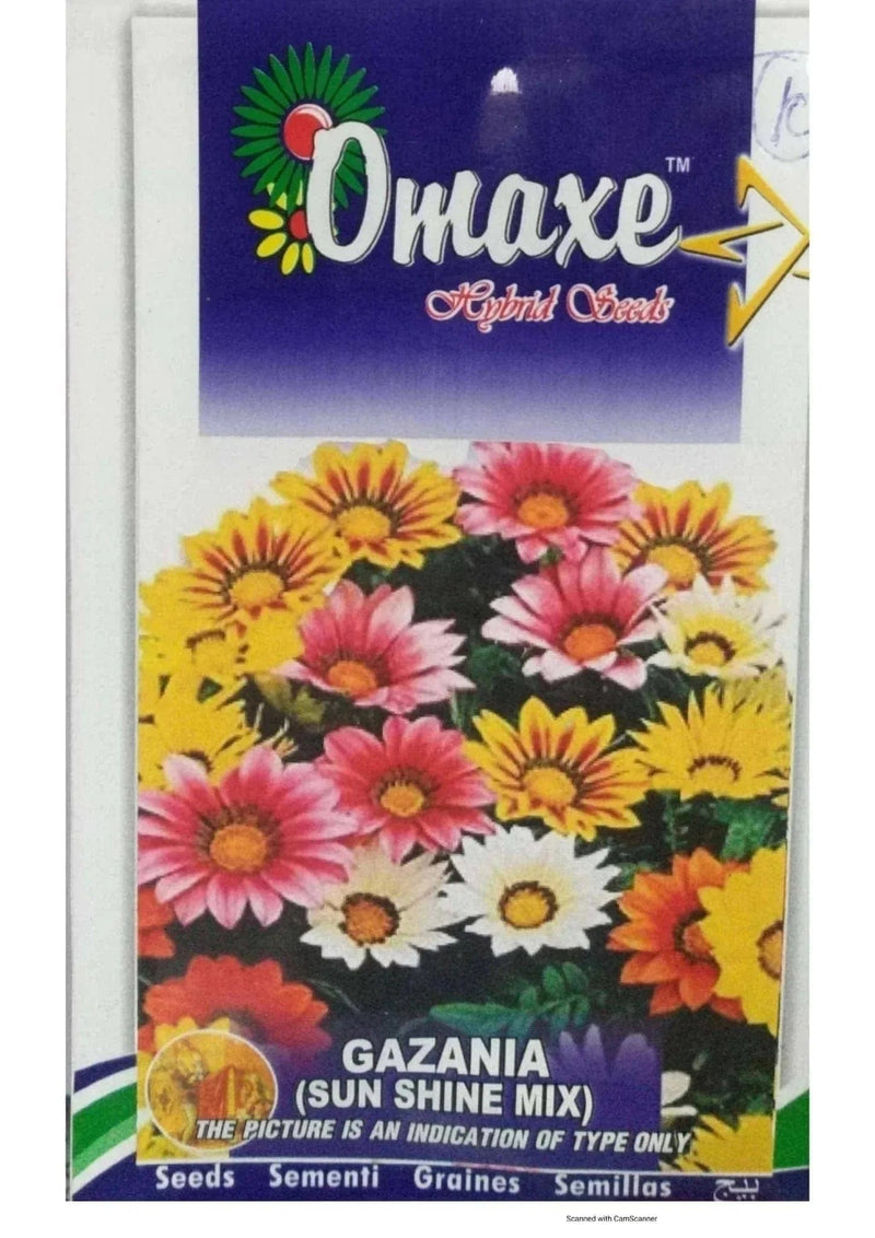 Prayas Nursery Seeds Gazania sunshine mix