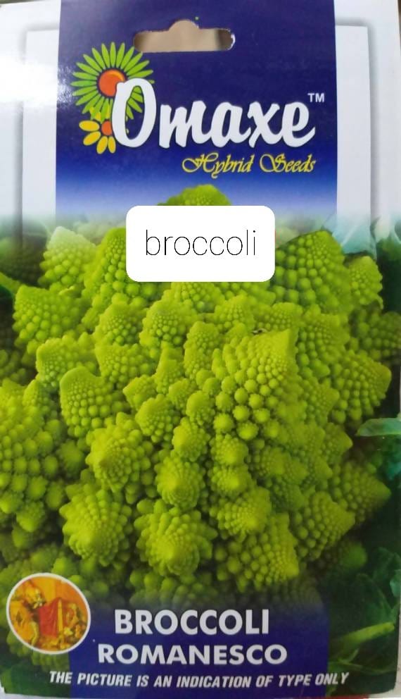 Prayas Nursery Seeds Omaxe Broccoli Romanesco