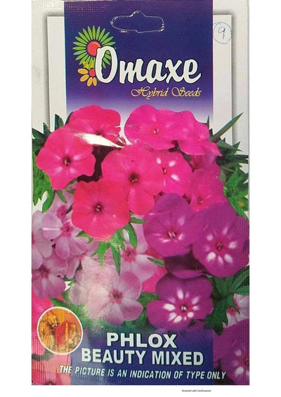 Prayas Nursery Seeds Phlox Beauty Mix