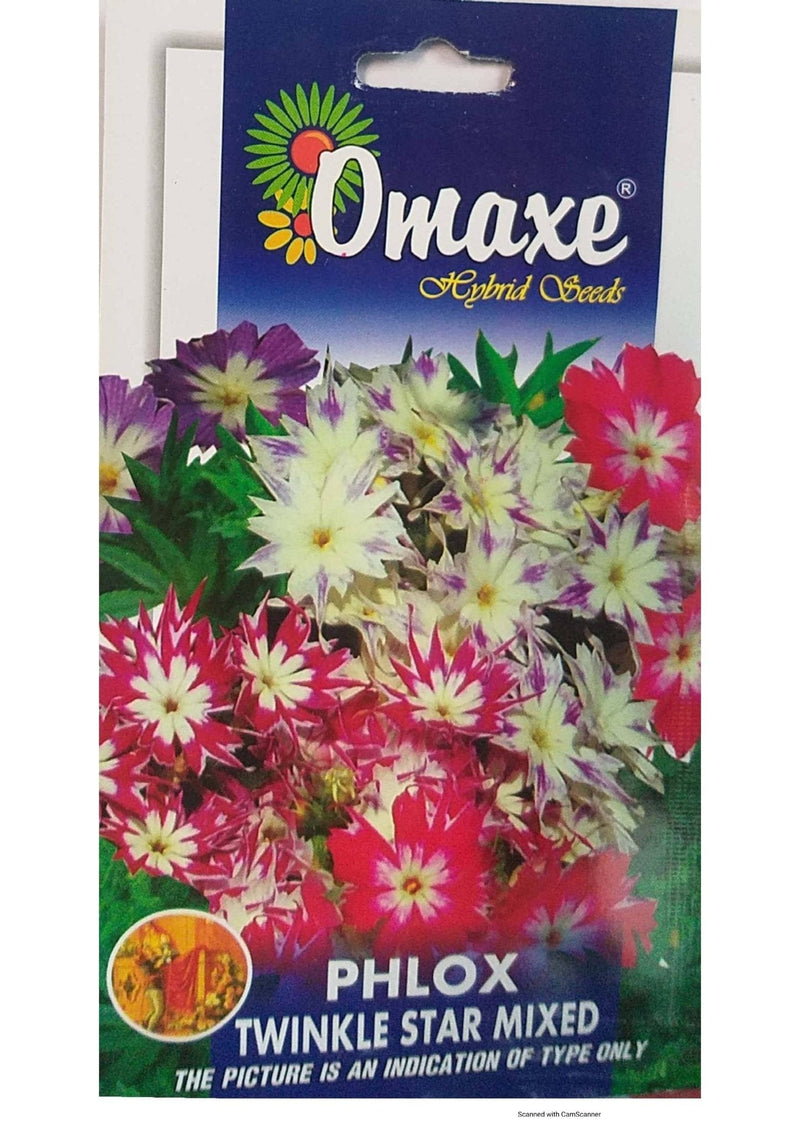 Prayas Nursery Seeds Phlox Twinkle Star Mixed