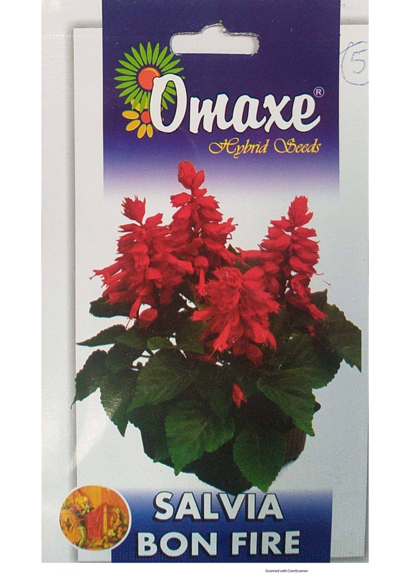 Prayas Nursery Seeds Salvia BON fire Red seeds