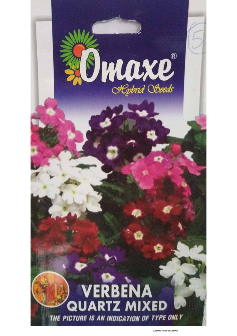 Prayas Nursery Seeds Verbena Quartz Mix seeds