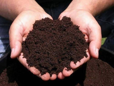 Sagar kumar keshri Compost Organic vermicompost 5kg