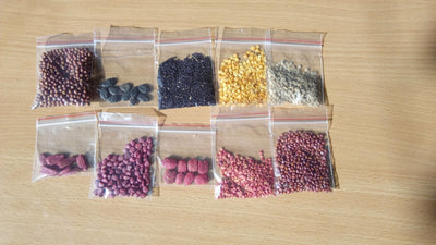 Selvakumar Gardening seeds Vegetable Seeds Combo Pack Of 10