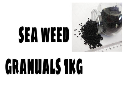 Shri Organic Organic Fertilizer SEA Weed Granuals Buy Sea Weed Granuals Online 