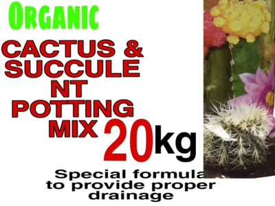 Shri Organic organic manure Cactus And Succulent Potting Mix Cactus and Succulents Potting Mix Online 