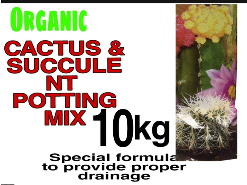 Shri Organic Organic Manure Cactus And Succulent Potting Mix Succulents Potting Mix Pack Online 