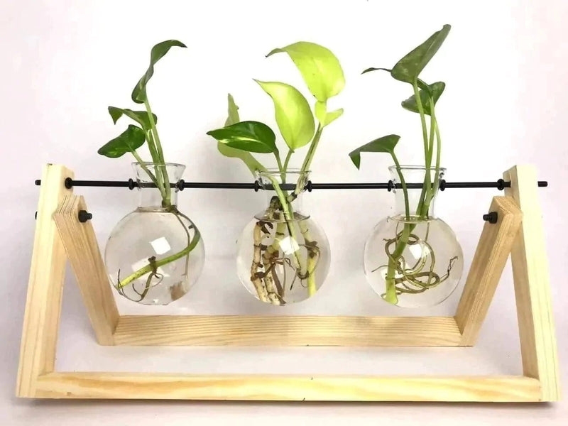 Spacio Decor Pots Pot Glass Tube Wooden Station Buy Glass Tube Wooden Station - 9