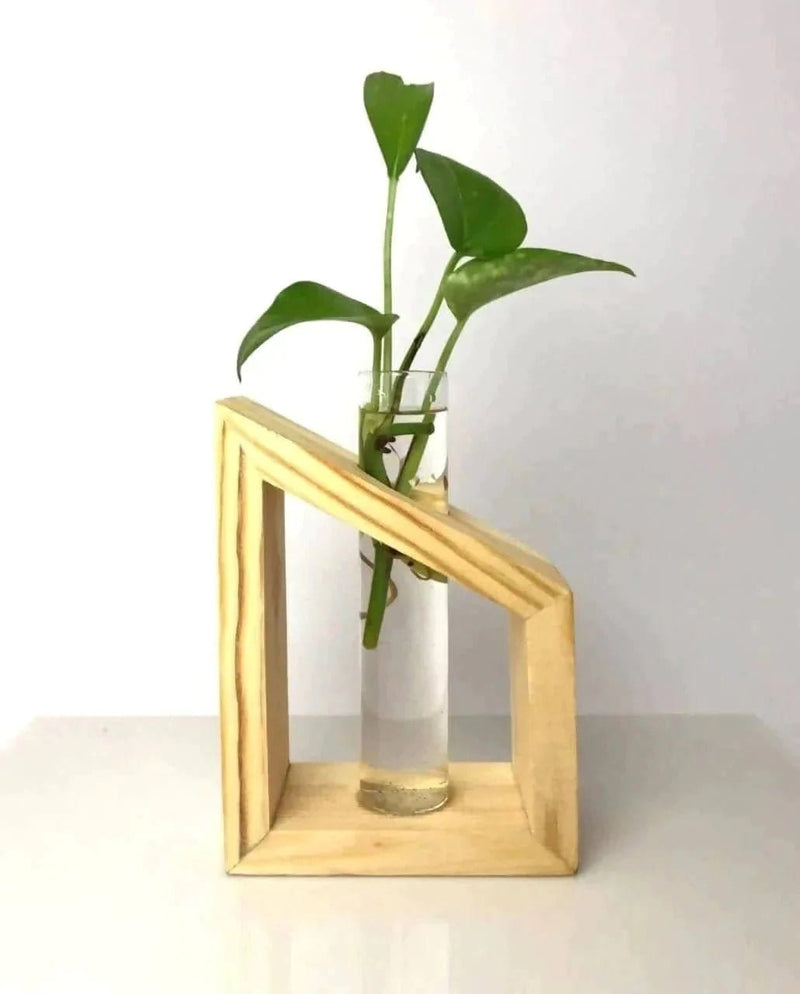 Spacio Decor Pots Pots Glass Tube Wooden Station Buy Glass Tube Wooden Station - 3