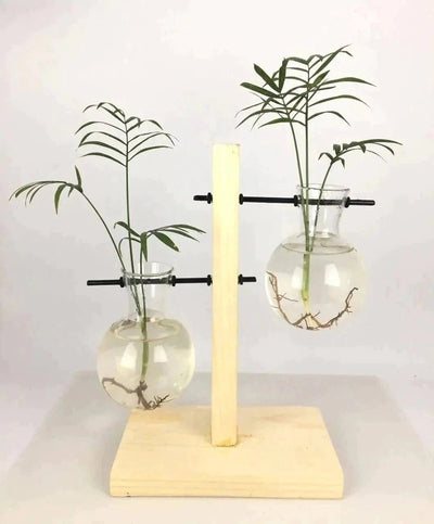 Spacio Decor Pots Pots Glass Tube Wooden Station Buy Glass Tube Wooden Station - 8