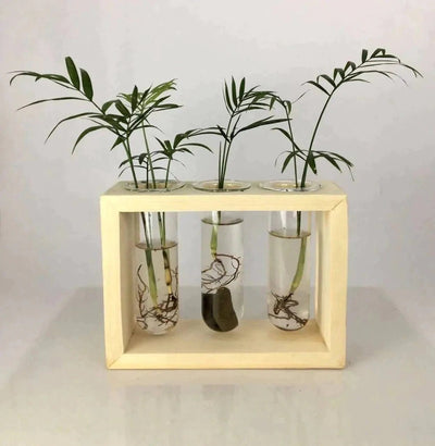 Spacio Decor Pots Pots Glass Tube Wooden Station Buy Glass Tube Wooden Station Online