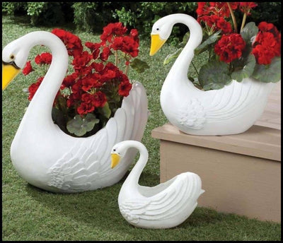Spacio Decor Pots Pots Swan Combo of 3