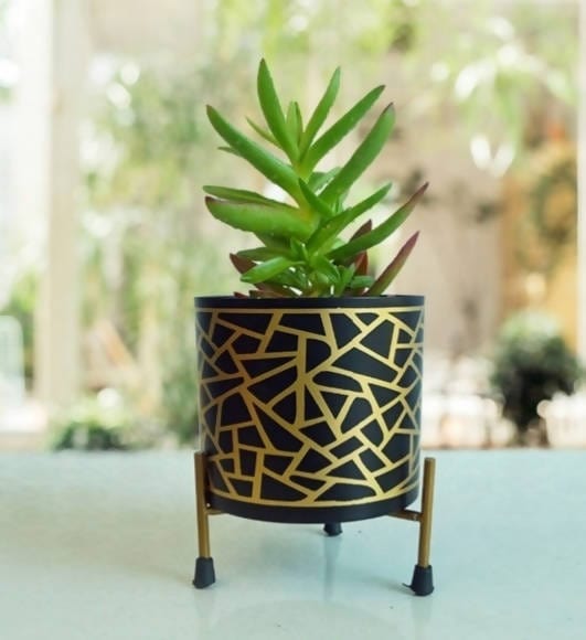 Sparkle Iron planter with stand Planter Buy Planter Online