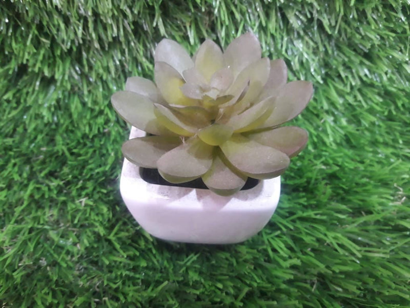 The Home Stories Artificial succulents with ceramic pots Artificial Succulents Artificial Succulents with ceramic pots