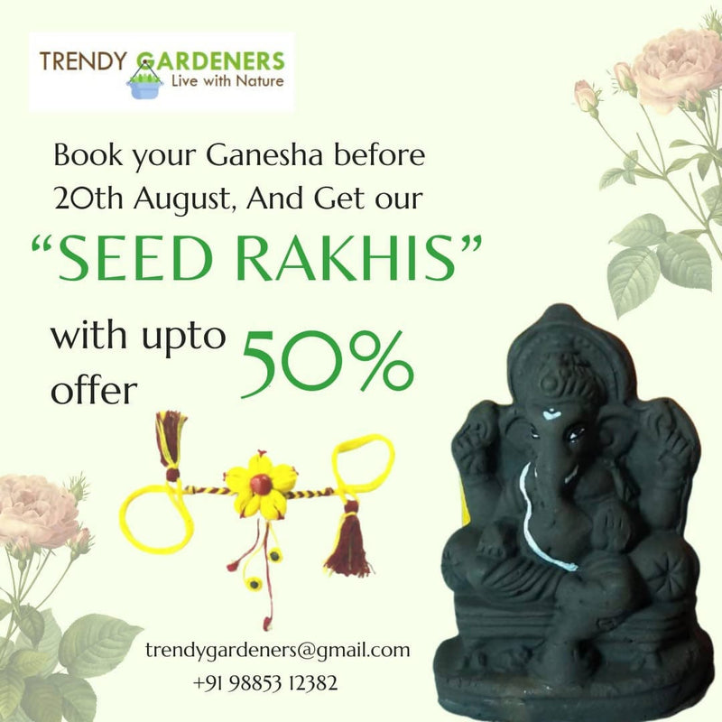 Trendy Gardeners Gifting Plantable Seed Rakhi Buy Plantable Seed Rakhi