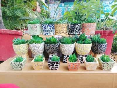 Urban Plants Ceramic Pots Buy Ceramic Pots - Set of 17 Pots Buy Ceramic Pots - Set of 17 Pots-Urban Plants