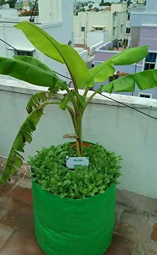 Urban Plants Grow Bags HDPE Grow Bags 24&