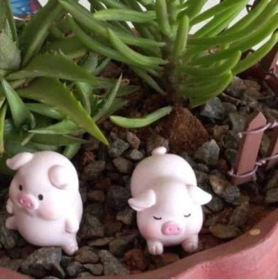 Urban Plants Miniature garden Buy Cute Garden Miniatures Set