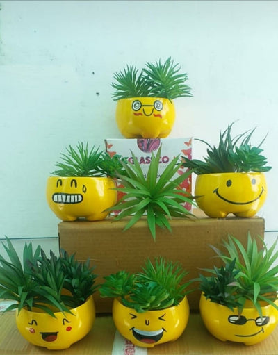 Urban Plants Pots & Planters Buy Smiley Planters Set